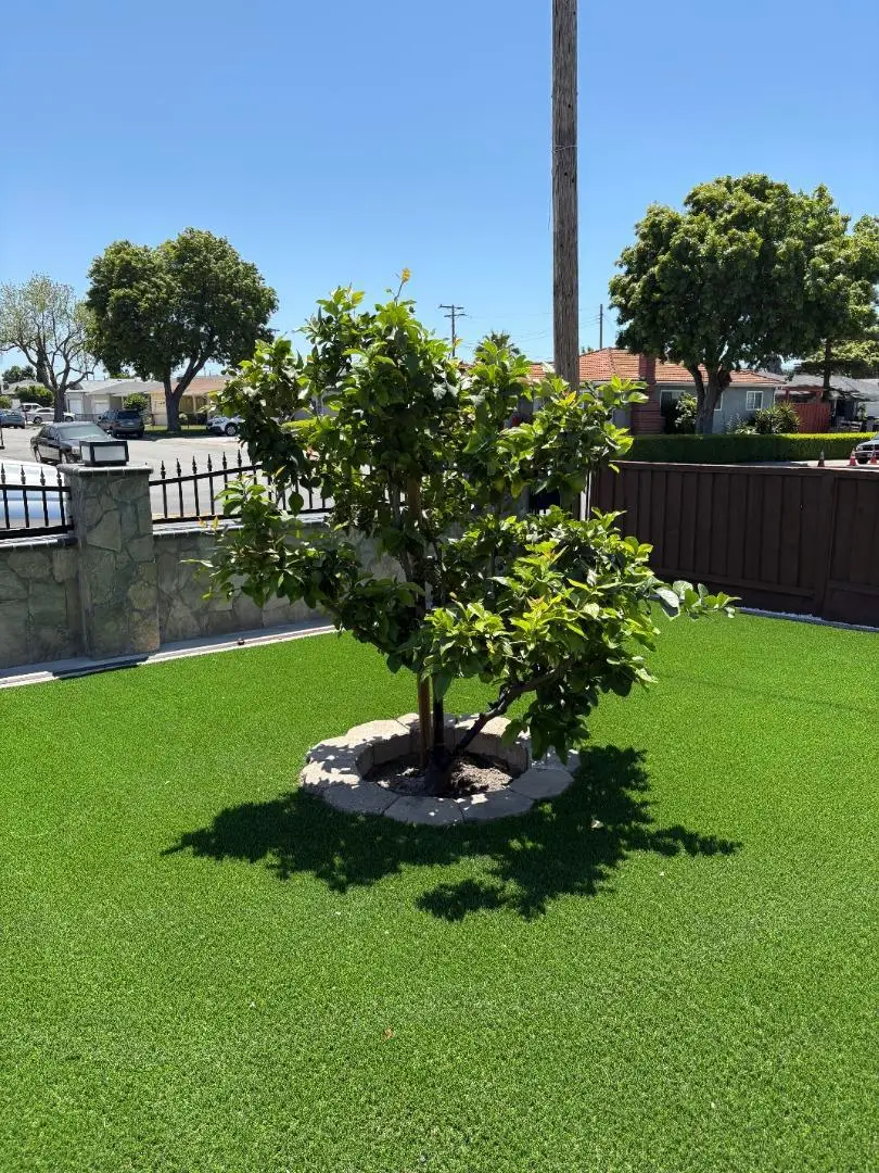 1219 Farringdon Drive, San Jose, CA 95127 - #3