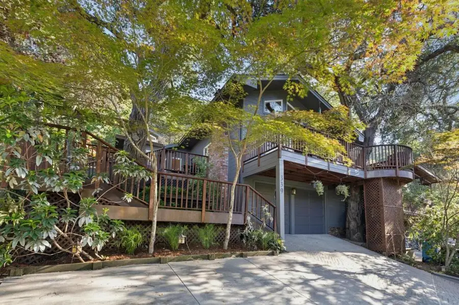 339 Chesham Avenue, San Carlos, CA 94070 - #3