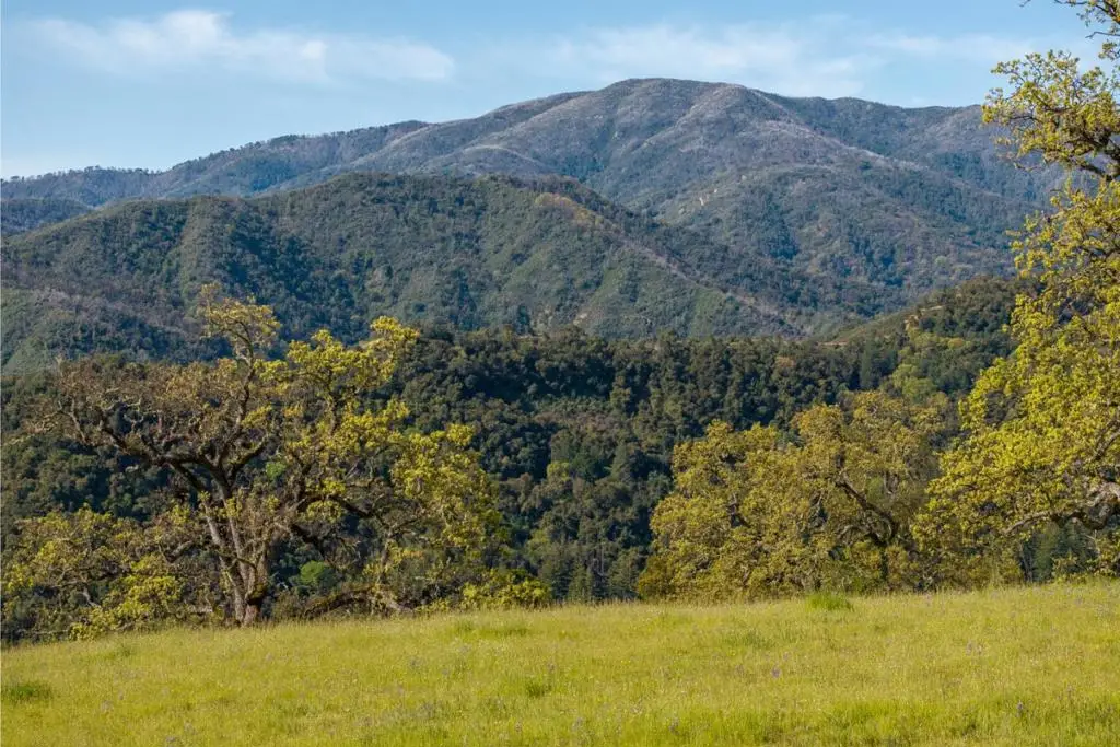 16 Long Ridge Trail (lot 233), Carmel, CA 93923 - #1