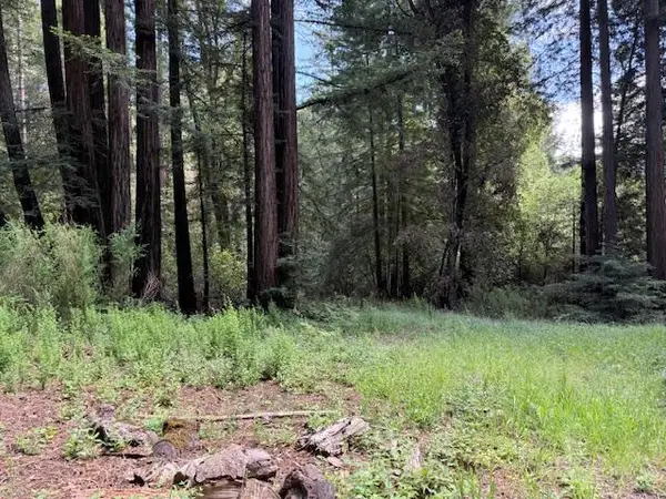 1701 Felton Quarry Rd., Felton, CA 95018