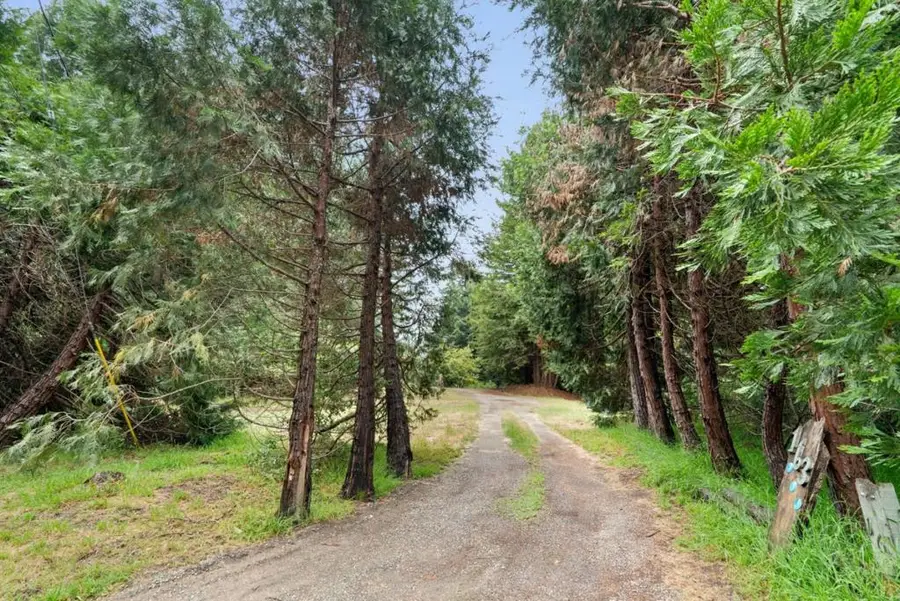 163 Buzzard Lagoon Road, Watsonville, CA 95076 - #2