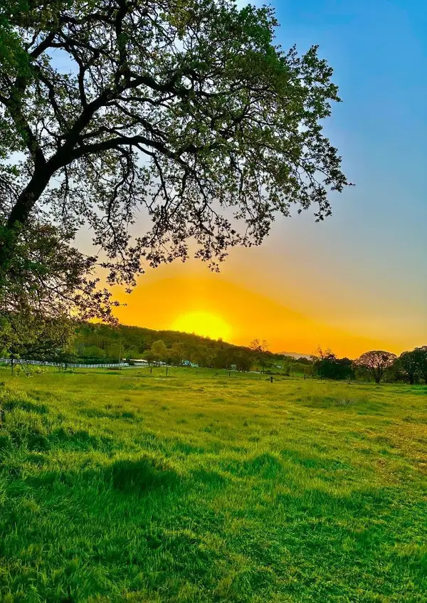 159 Albright Court, Angels Camp, CA 95222