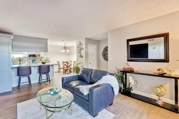 259 N Capitol Avenue #163, San Jose, CA 95127