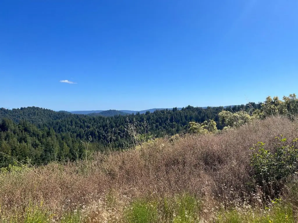 Bear Creek Road, Boulder Creek, CA 95006 - #1