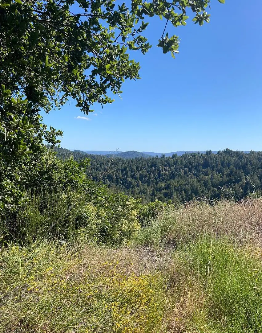 Bear Creek Road, Boulder Creek, CA 95006 - #3