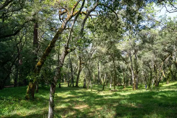 35000 Robinson Canyon Road, Carmel Valley, CA 93923