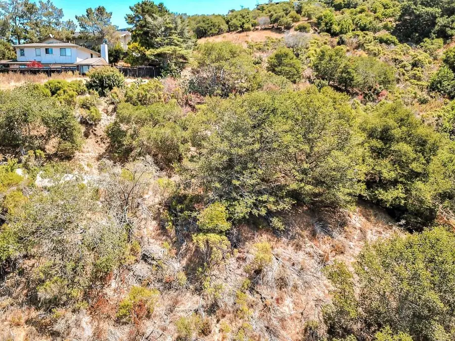 2928 Alhambra Drive, Belmont, CA 94002 - #3