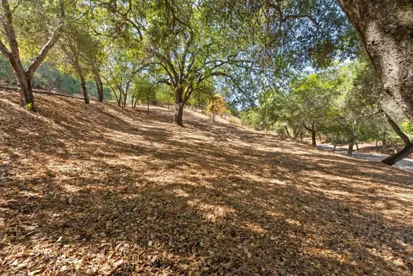 16099 Greenwood Road, Monte Sereno, CA 95030