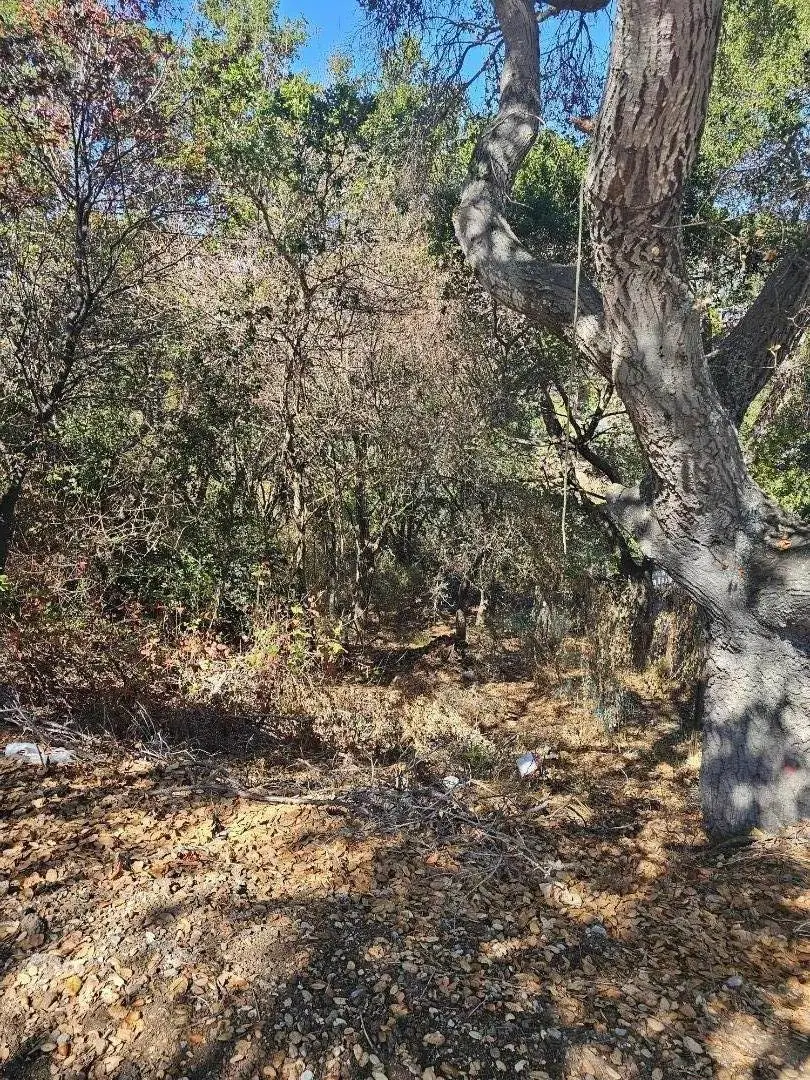Address Withheld By Seller, Belmont, CA 94002 - #3