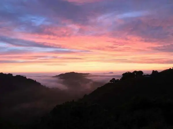 38711 Palo Colorado Road, Carmel, CA 93923