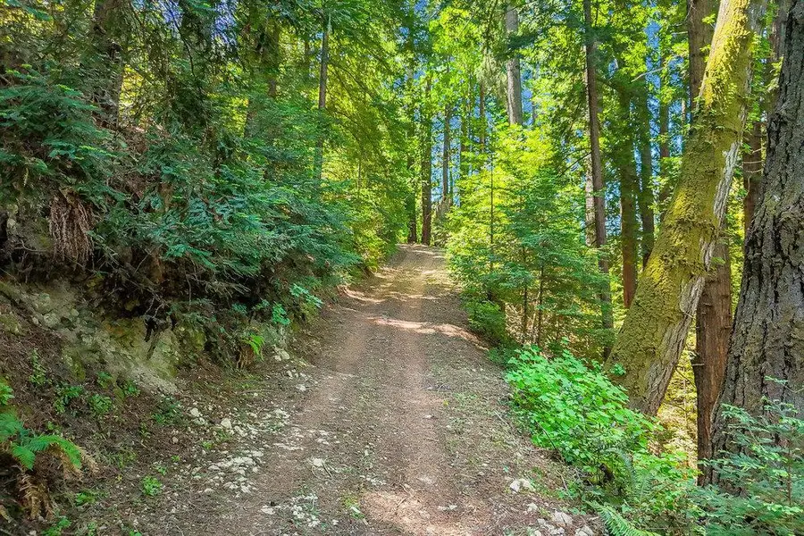 612 Nelson Road, Scotts Valley, CA 95066 - #2