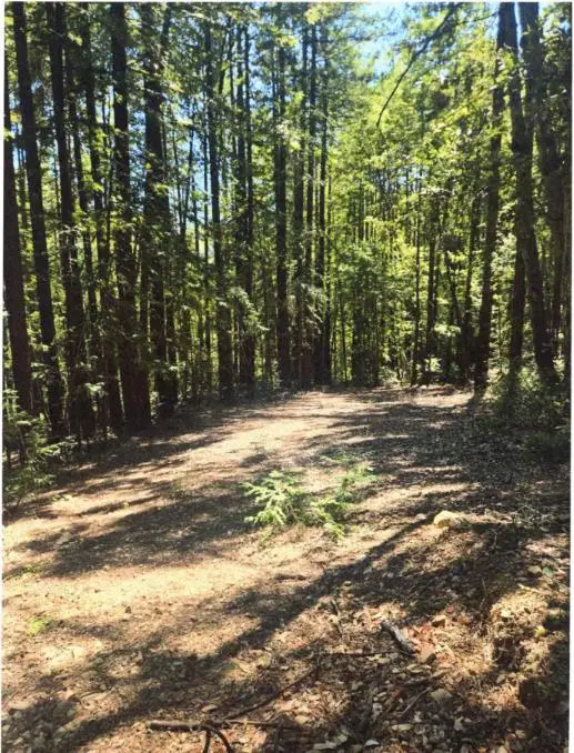 Murphy Canyon Road, Gilroy, CA 95020