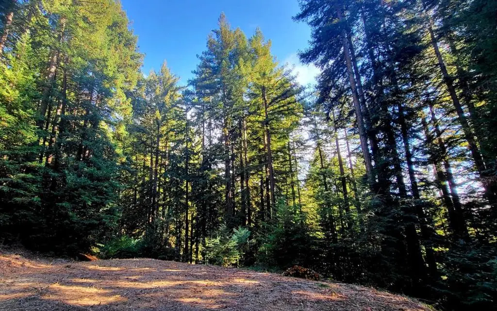 0 Redwood Lodge Road, Los Gatos, CA 95033 - #1