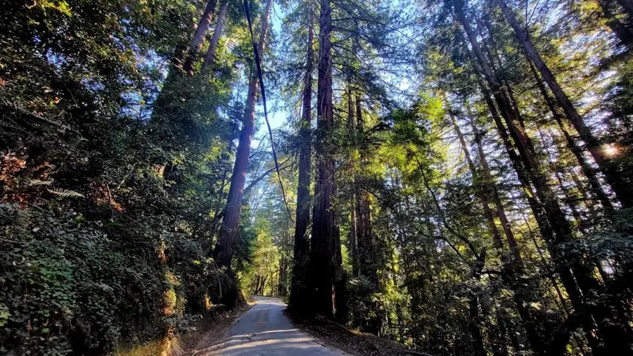 0 Redwood Lodge Road, Los Gatos, CA 95033 - #3