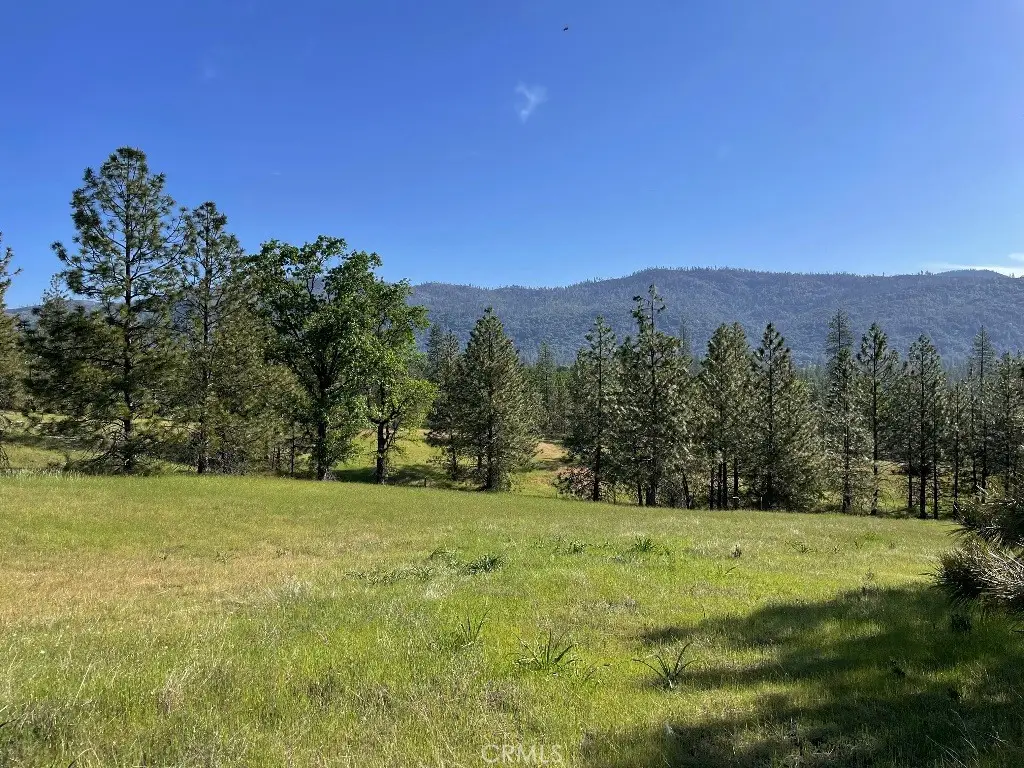 0 Triangle Road, Mariposa, CA 95338 - #1