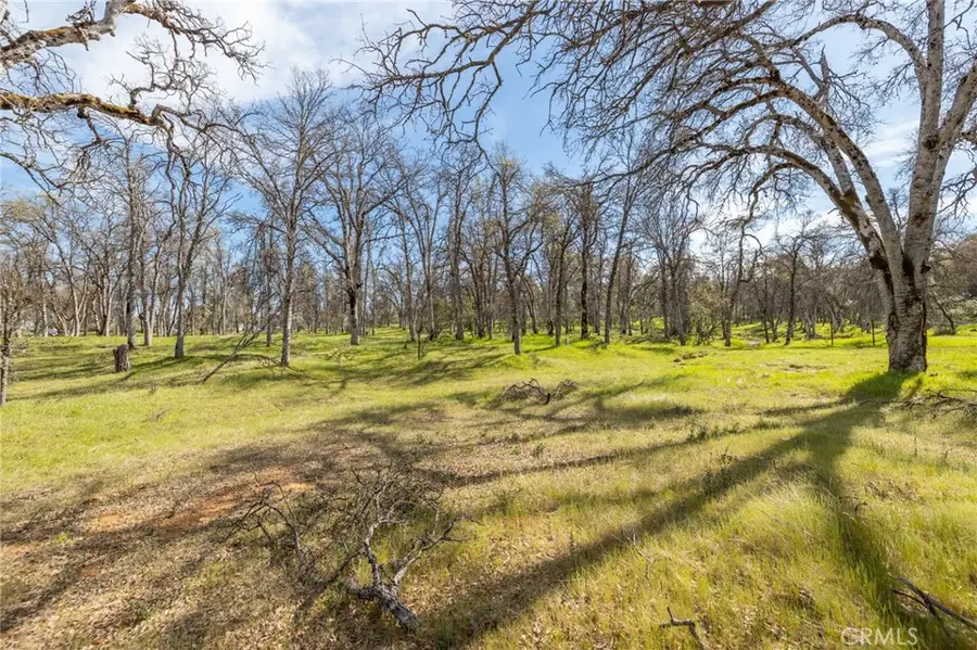 5328 E Whitlock Road, Mariposa, CA 95338 - Image #3