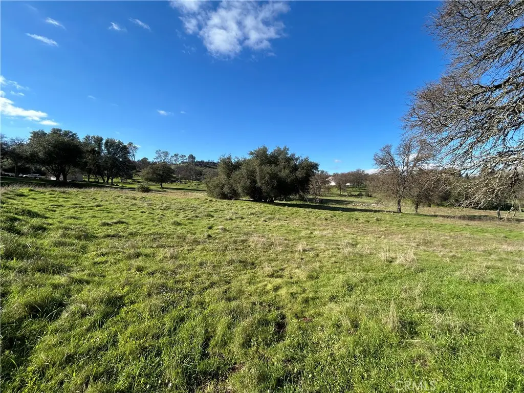 3209 Silver Bush Place, Catheys Valley, CA 95306 - #1