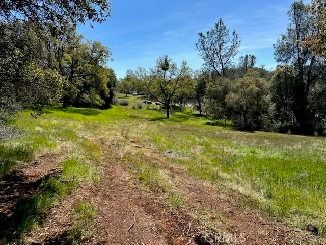 0 Highway 49 N, Mariposa, CA 95338 - #3