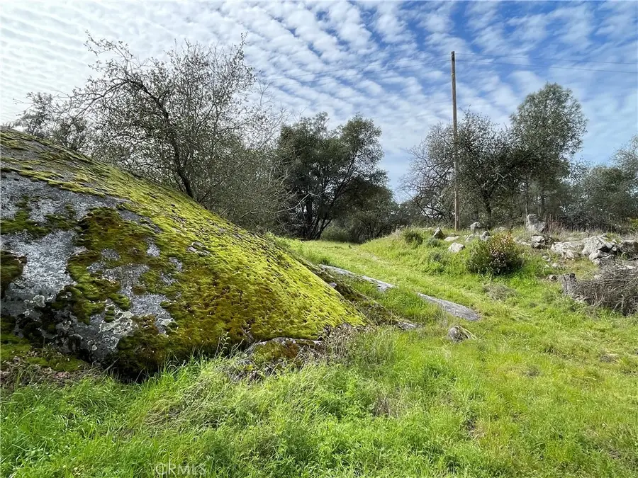 832 Silver Bar Road, Mariposa, CA 95338 - #2