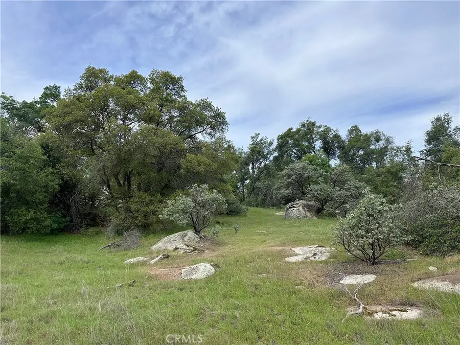 3038 Country Court, Mariposa, CA 95338 - #3