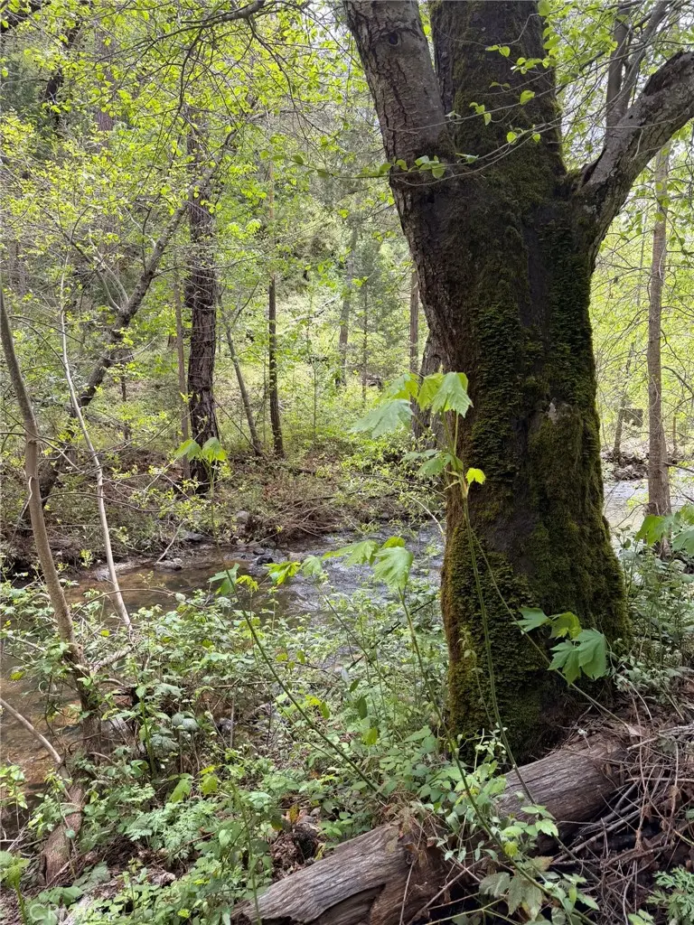 39 Anderson Valley Road, Coulterville, CA 95311 - #2