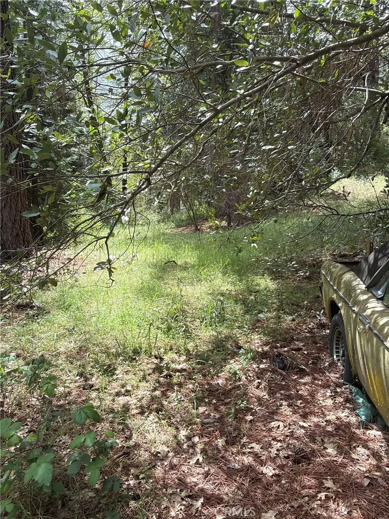 39 Anderson Valley Road, Coulterville, CA 95311 - #3