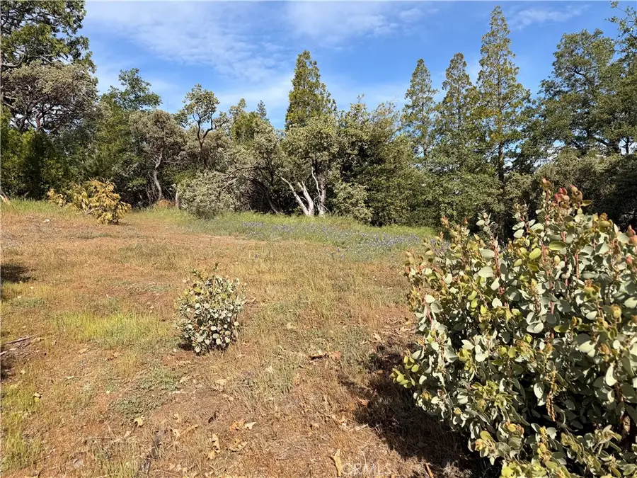 39 Manzanita Drive, Oakhurst, CA 93644 - #3