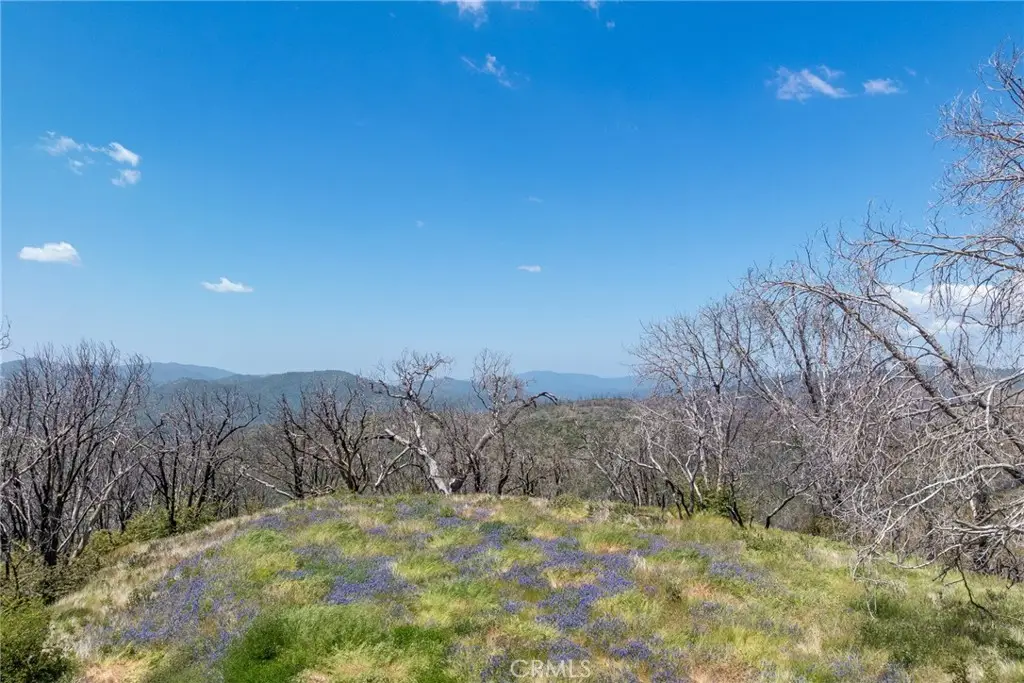39 Acres Buckingham Mountain Road, Mariposa, CA 95338 - #1