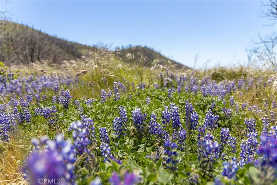 39 Acres Buckingham Mountain Road, Mariposa, CA 95338 - #2