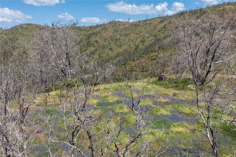 39 Acres Buckingham Mountain Road, Mariposa, CA 95338 - #3