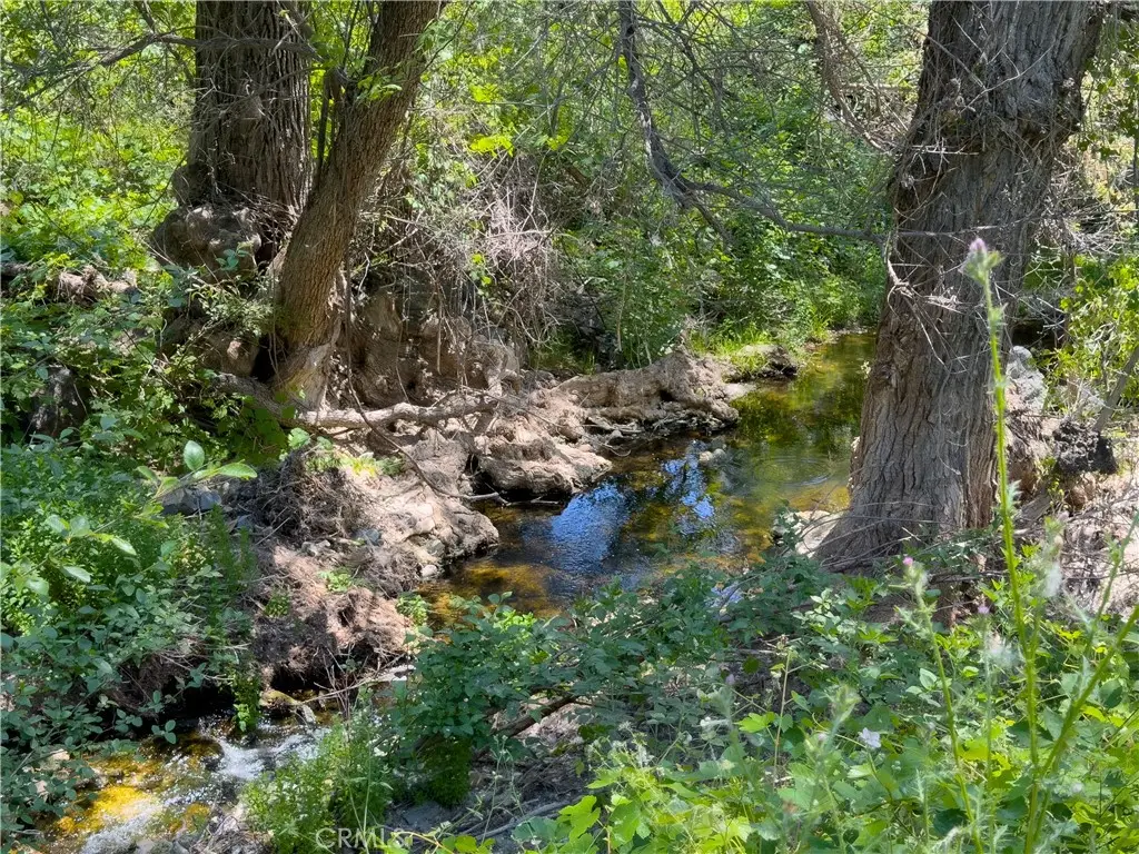10 Miller Road, Mariposa, CA 95338 - #1