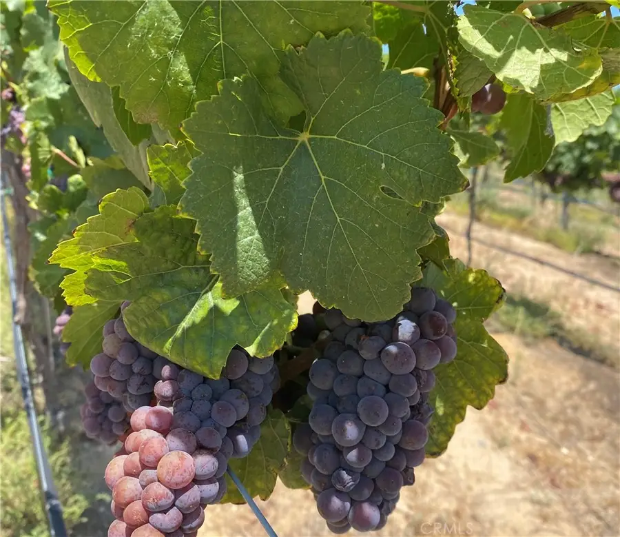 40970 Anza Road, Temecula, CA 92592 - #3