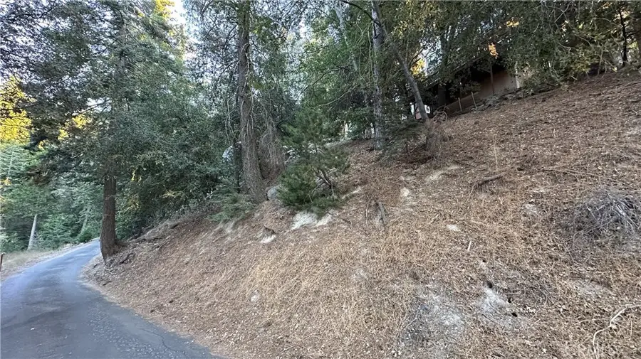 0 Mid Lane, Twin Peaks, CA 92391 - Image #3