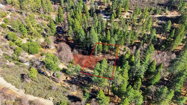0 Little Bear Creek, Cedar Glen, CA 92321