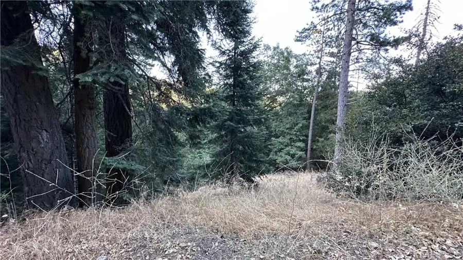 0 Fir, Cedarpines Park, CA 92322 - #3