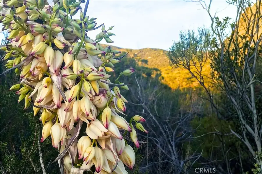 0 Cruces, Warner Springs, CA 92086 - #2