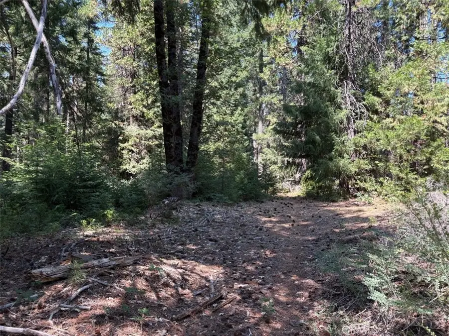 9936 Fobes, Morongo Valley, CA 92256 - #3