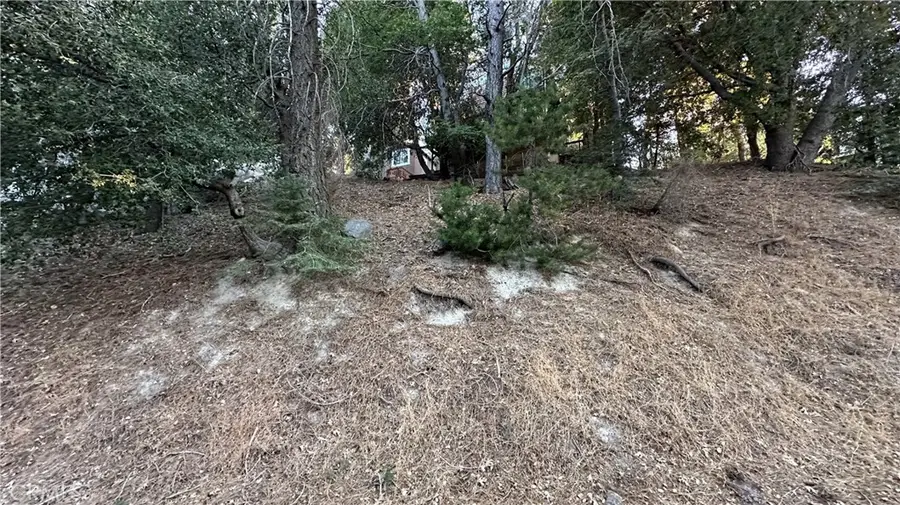 0 Mid Lane, Twin Peaks, CA 92391 - #2