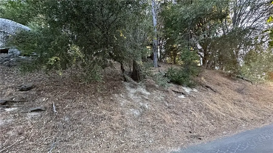 0 Mid Lane, Twin Peaks, CA 92391 - #3