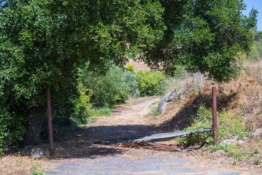 31801 Wrightwood Road, Bonsall, CA 92003 - #3