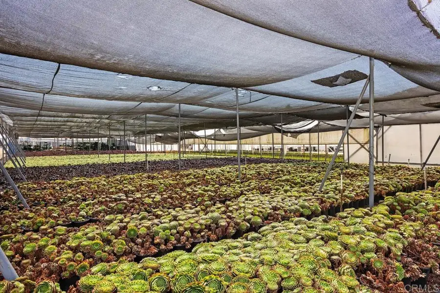 Cassou Road, San Marcos, CA 92069 - #3