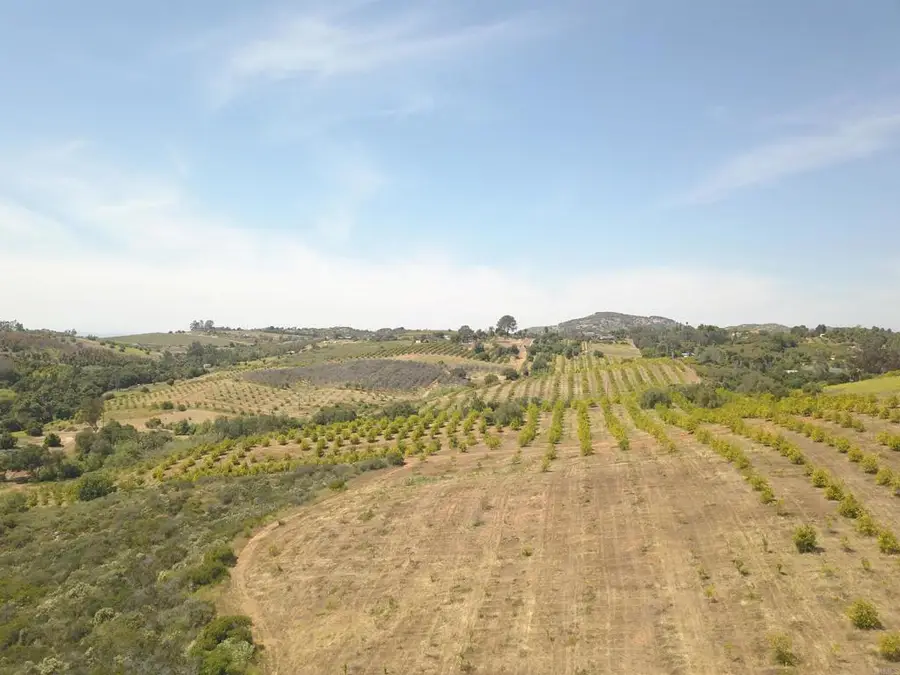 9153 W Lilac Road, Escondido, CA 92026 - #3