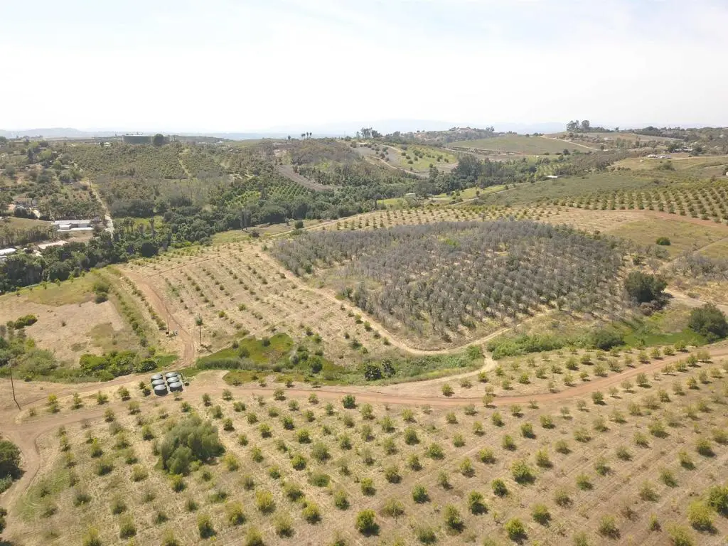 0 Birdsong, Escondido, CA 92026 - #1