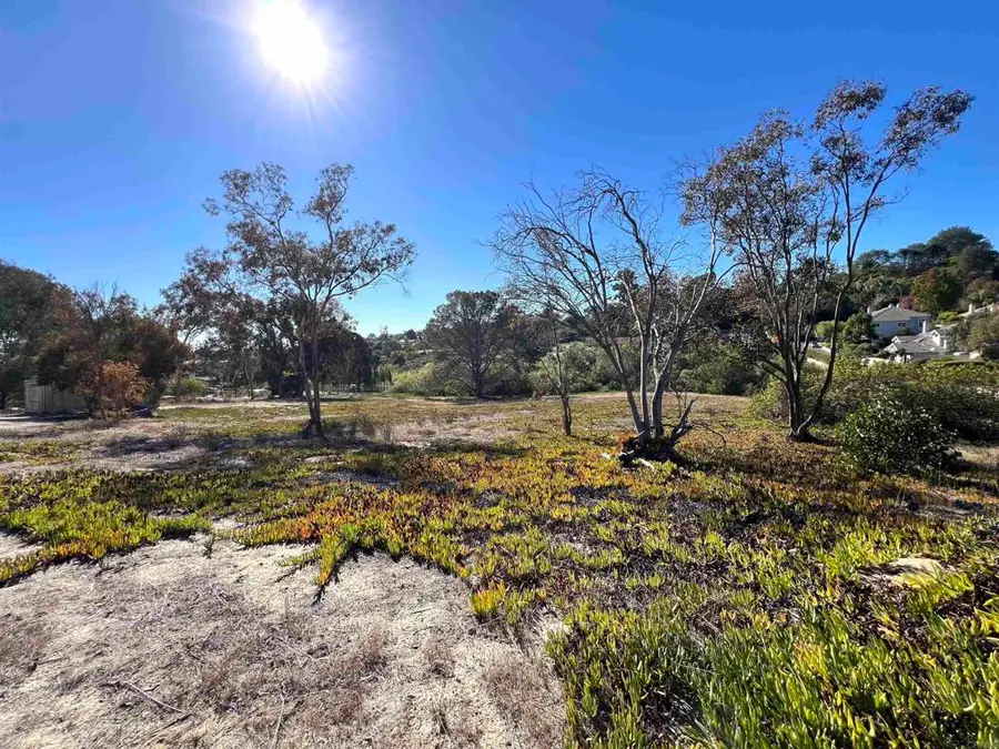 Mays Hollow Lane, Encinitas, CA 92024 - Image #3