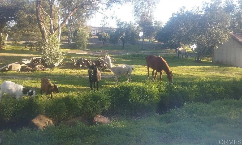 6490 Rainbow Heights Road, Fallbrook, CA 92028 - #1