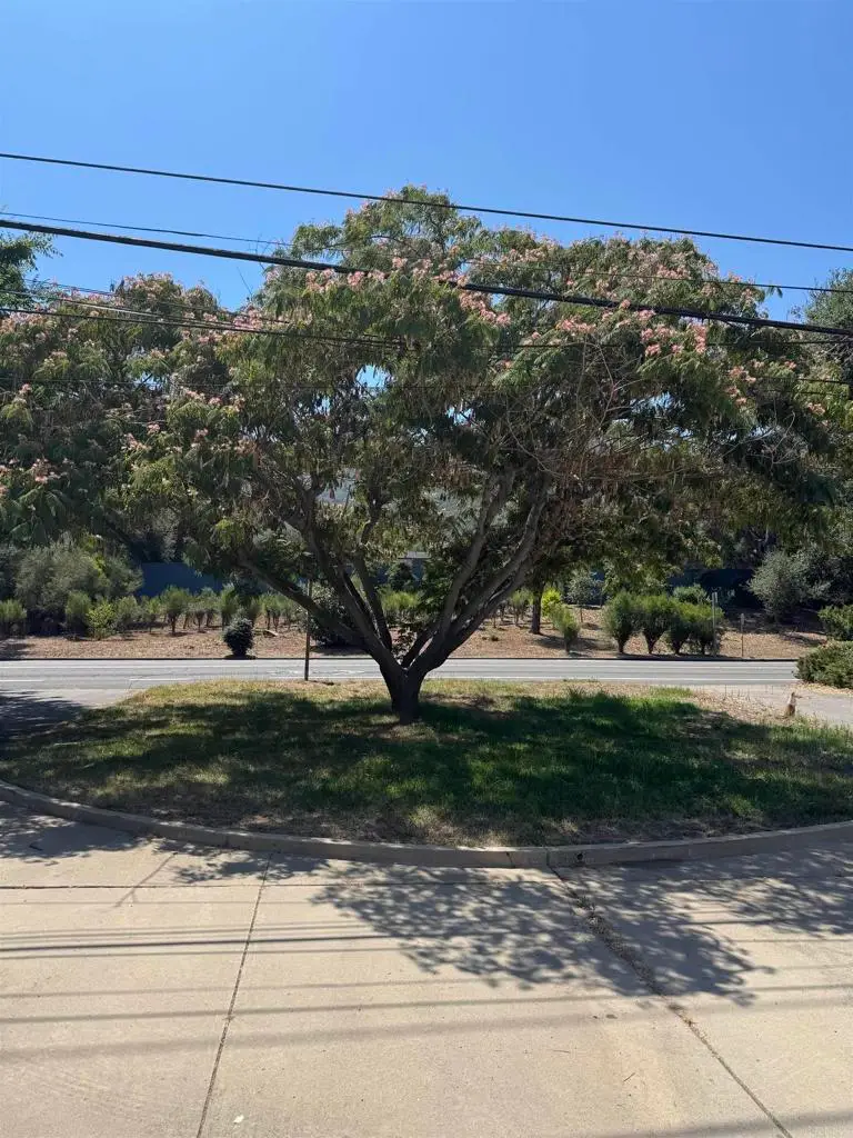 9168 Old Castle Road Road, Valley Center, CA 92082 - #3