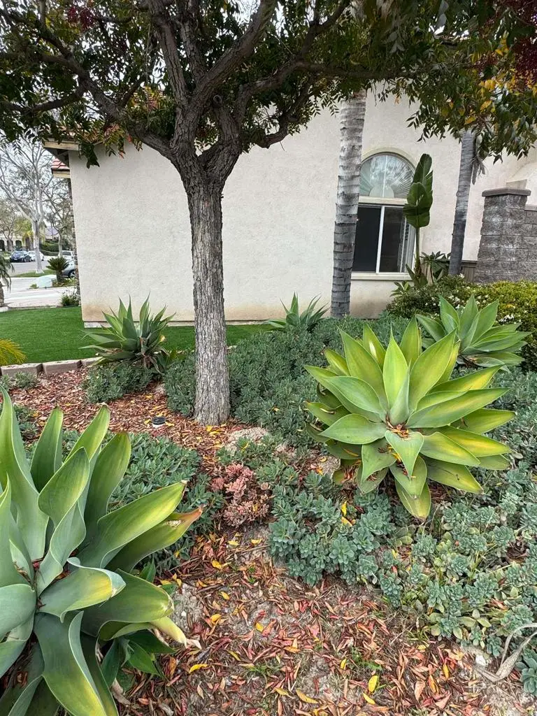 1623 Lakoya Drive, Chula Vista, CA 91913 - Image #3