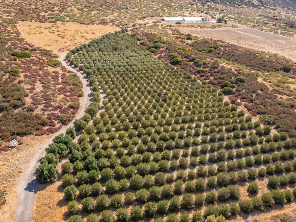 .55 +/ Acres San Felipe Road, Warner Springs, CA 92086 - #1