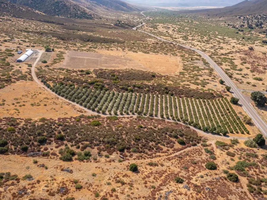 .55 +/ Acres San Felipe Road, Warner Springs, CA 92086 - #3