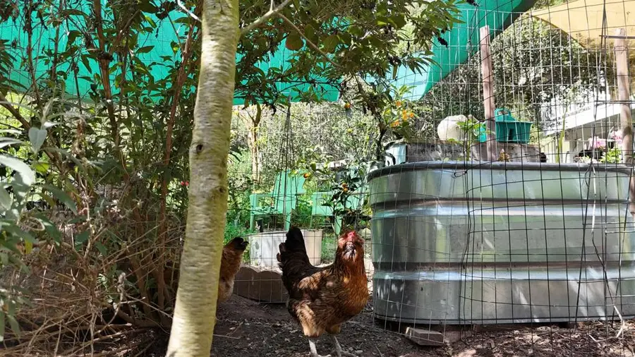 9237 Harmony Grove, Escondido, CA 92029 - #2